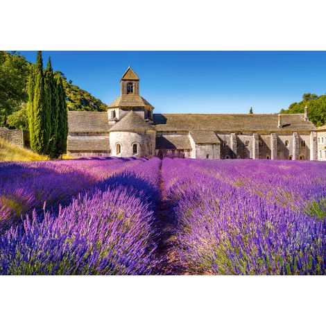 Puzzle Castorland 1000el Pole lawendy Prowansja, Francja - 2